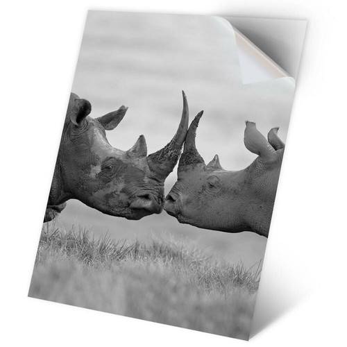 Vinyl sticker bw - a2,