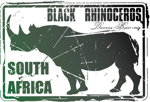 South africa rhinoceros wild - rhinoceros,