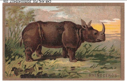 CAR-AHLP31-1564-CHROMOS