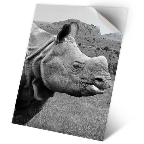 Vinyl sticker bw - 1,