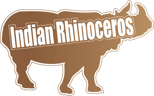 Indian rhinoceros wild animal - rhinoceros,