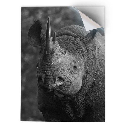 Vinyl sticker bw - vinyl,