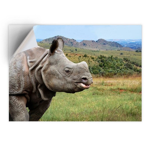 Vinyl sticker african - a4,