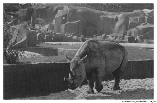 CAR-AGPP20-1014-ANIMAUX