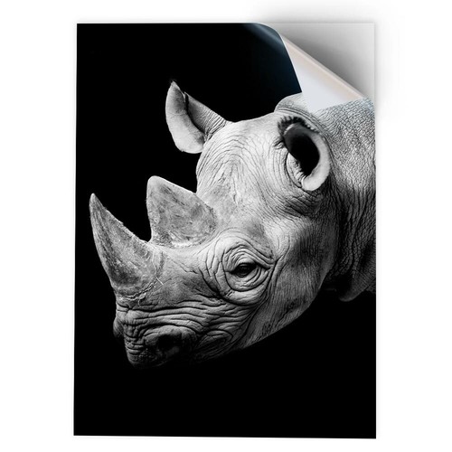 Vinyl sticker wild - 1,