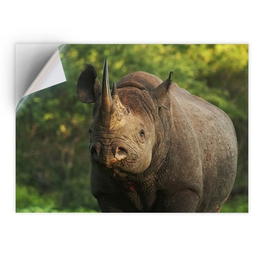 Vinyl sticker wild - -,