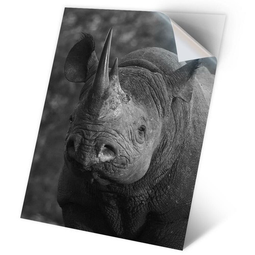 Vinyl sticker bw - sticker, a2