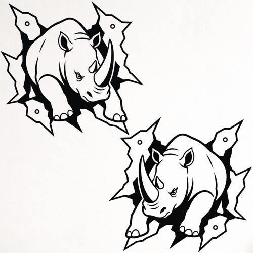 Rhino car campervan - rhino,
